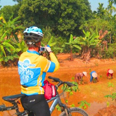 Cuc Phuong National Park & Cycling to Tam Coc - 2 days tour