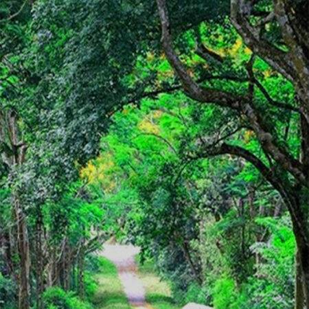 CUC PHUONG NATIONAL PARK – PRIVATE 1 DAY TOUR