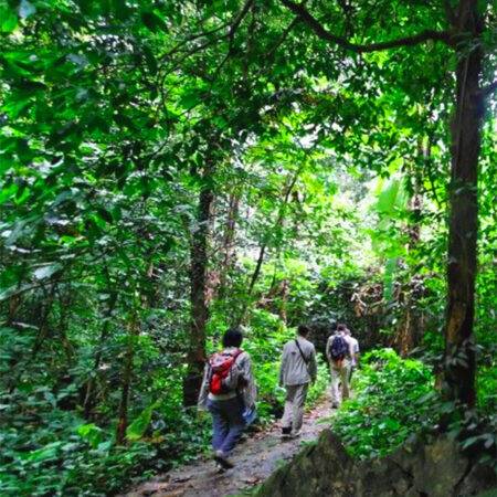 Cuc Phuong 3 days tour