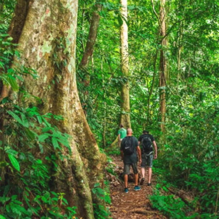 Cuc Phuong Trekking
