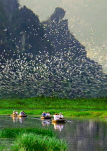Van Long Ninh Binh