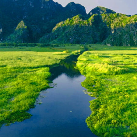 VAN LONG NATURE RESERVE – KENH GA FLOATING VILLAGE 1 DAY TOUR
