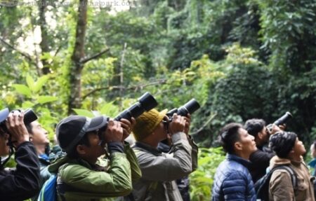 Bird watch 1 day tour from Ninh Binh 