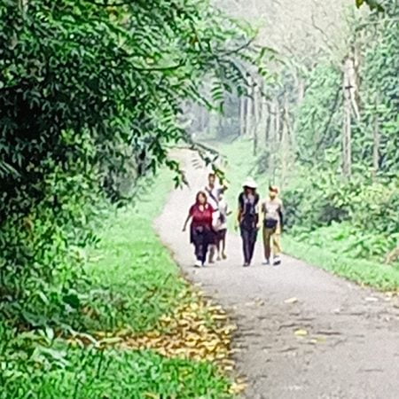 Bird Watching day tour from Ninh Binh city