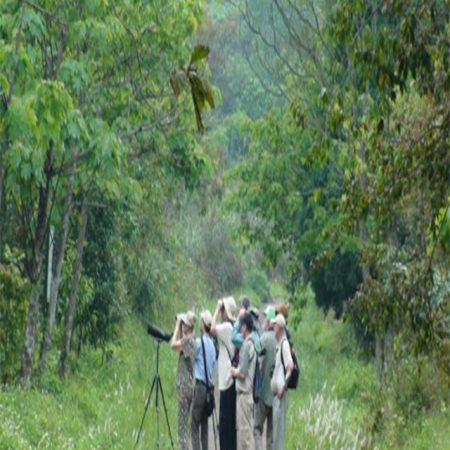 BIRD WATCHING DAY TOUR FROM HANOI