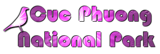 Cuc Phuong National Park