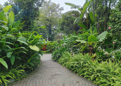 Ba Vi National Park - Garden