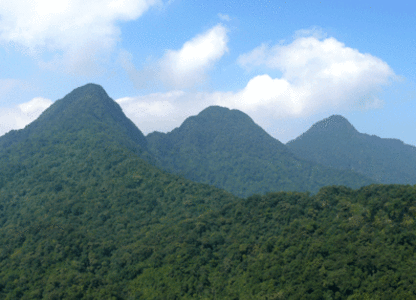 Tam Dao Views