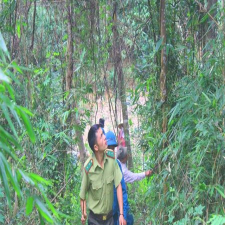 Trekking Cuc Phuong forest patrol tour with rangers - day trip