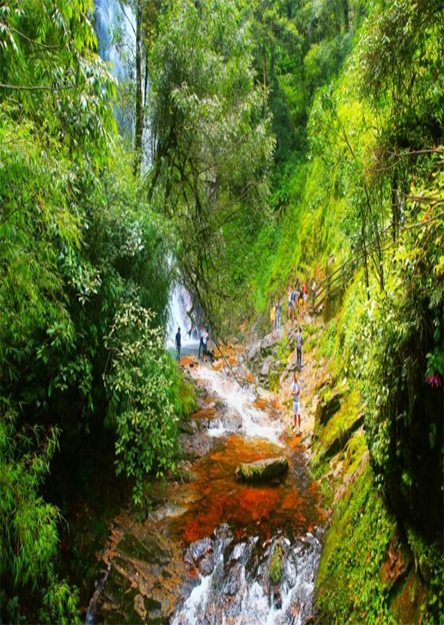 Sapa Bird Watching: 3 days trip from Hanoi