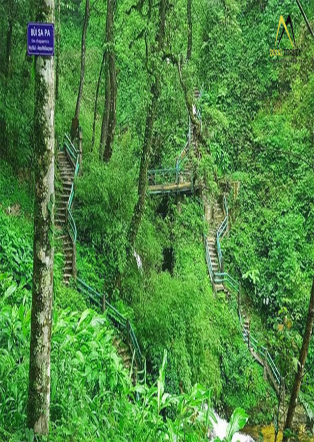 Sapa Bird Watching: 3 days trip from Hanoi