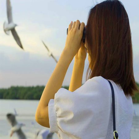 Hanoi - Xuan Thuy National Park bird watching day tour